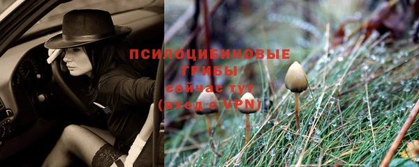дмт Баксан