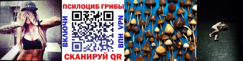 купить наркотик  ссылка на мегу ссылки  Псилоцибиновые грибы мицелий  Нытва 